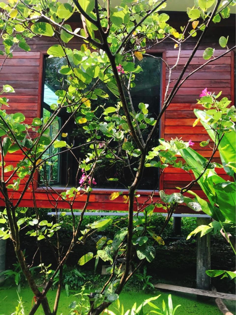 88 Homestay Bang Chak Exterior foto