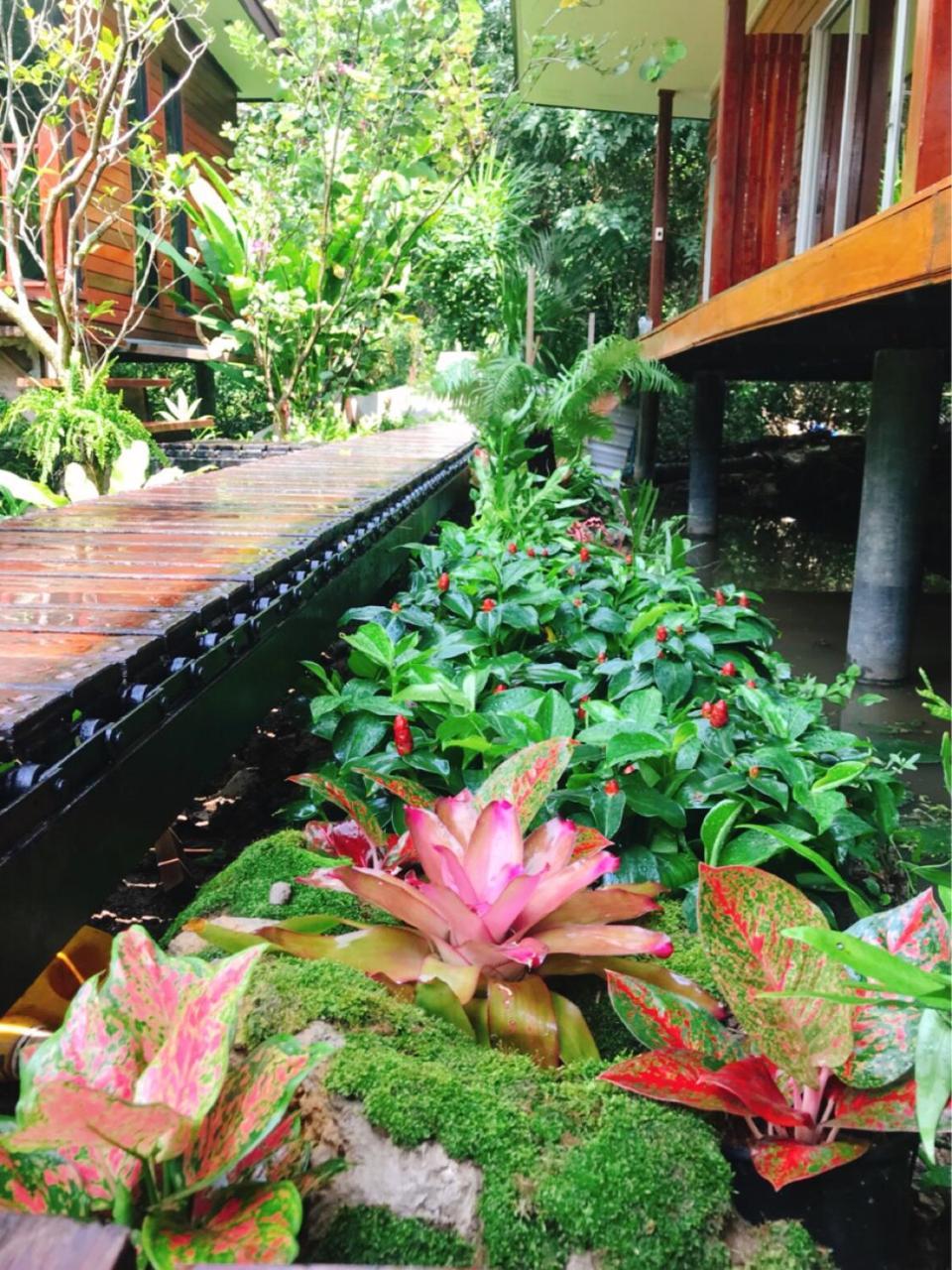 88 Homestay Bang Chak Exterior foto
