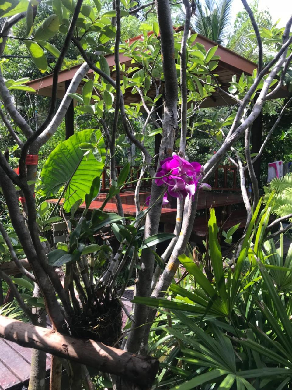 88 Homestay Bang Chak Exterior foto
